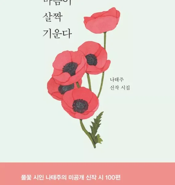 خرید کتاب اشعار کره ای 마음이 살짝 기운다