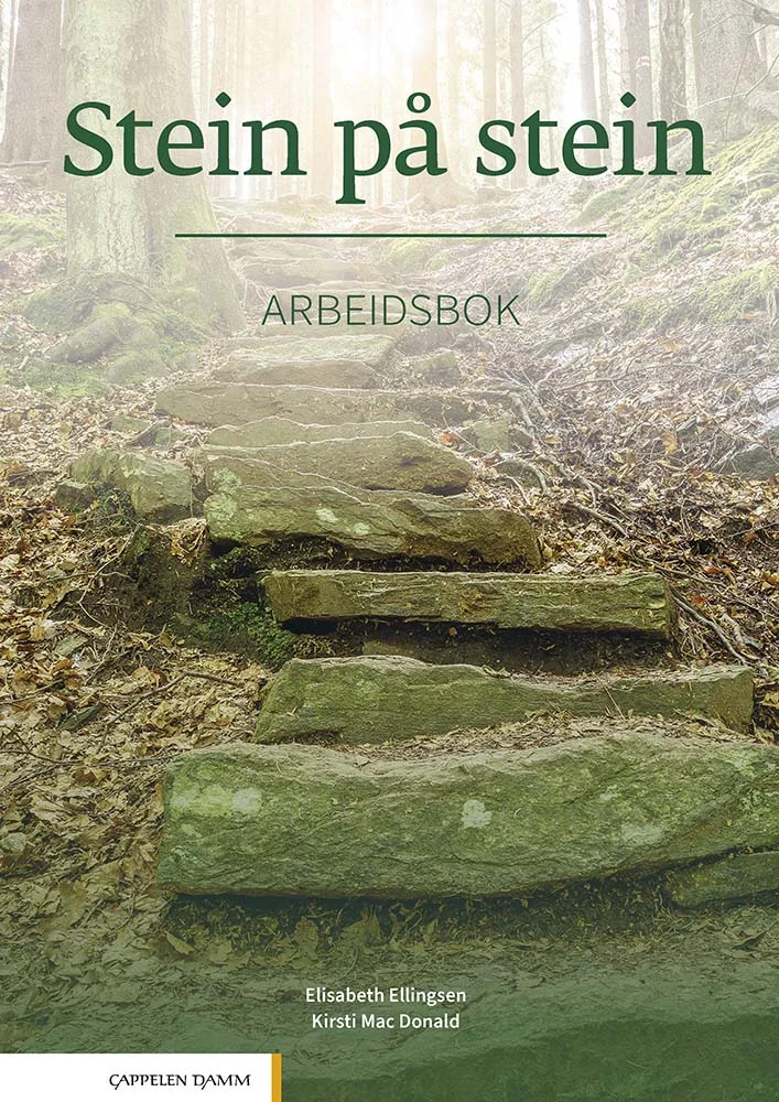 استاین پا استاین | کتاب نروژی 2021 Stein pa stein Arbeidsbok (کتاب تمرین)