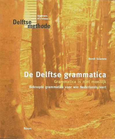 د دلفتسه گراماتیکا کتاب هلندی De Delftse grammatica